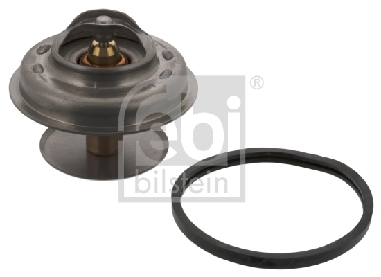 Thermostat, coolant